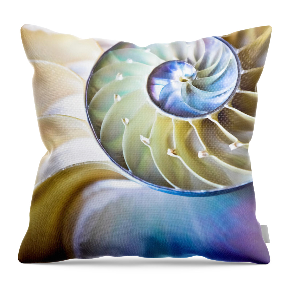 Nautilus Throw Pillow featuring the photograph The Beauty of Nautilus by Colleen Kammerer