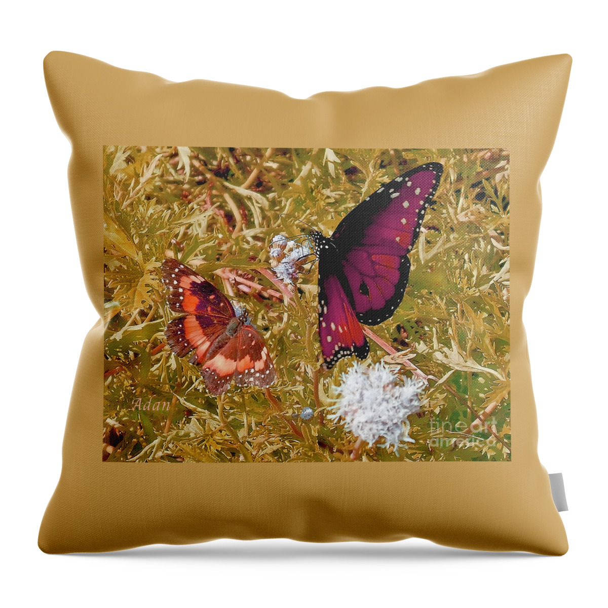 Butterflies Throw Pillow featuring the photograph The Beauty of Sharing - Gold by Felipe Adan Lerma