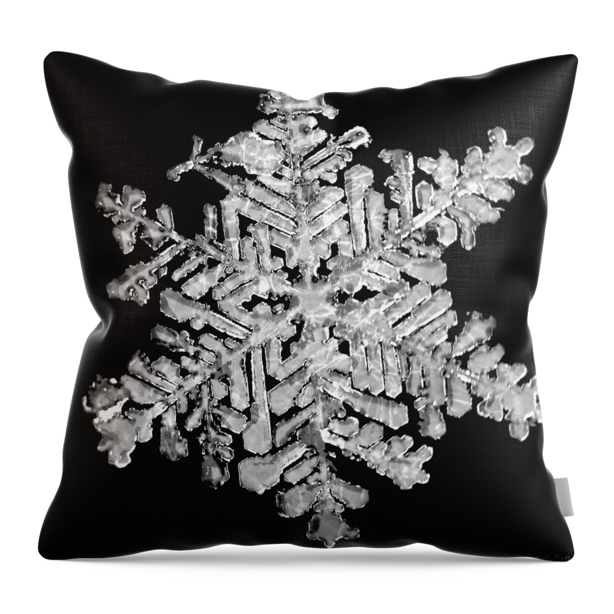 Lauren Radke Throw Pillow featuring the photograph The Beauty of Winter by Lauren Radke
