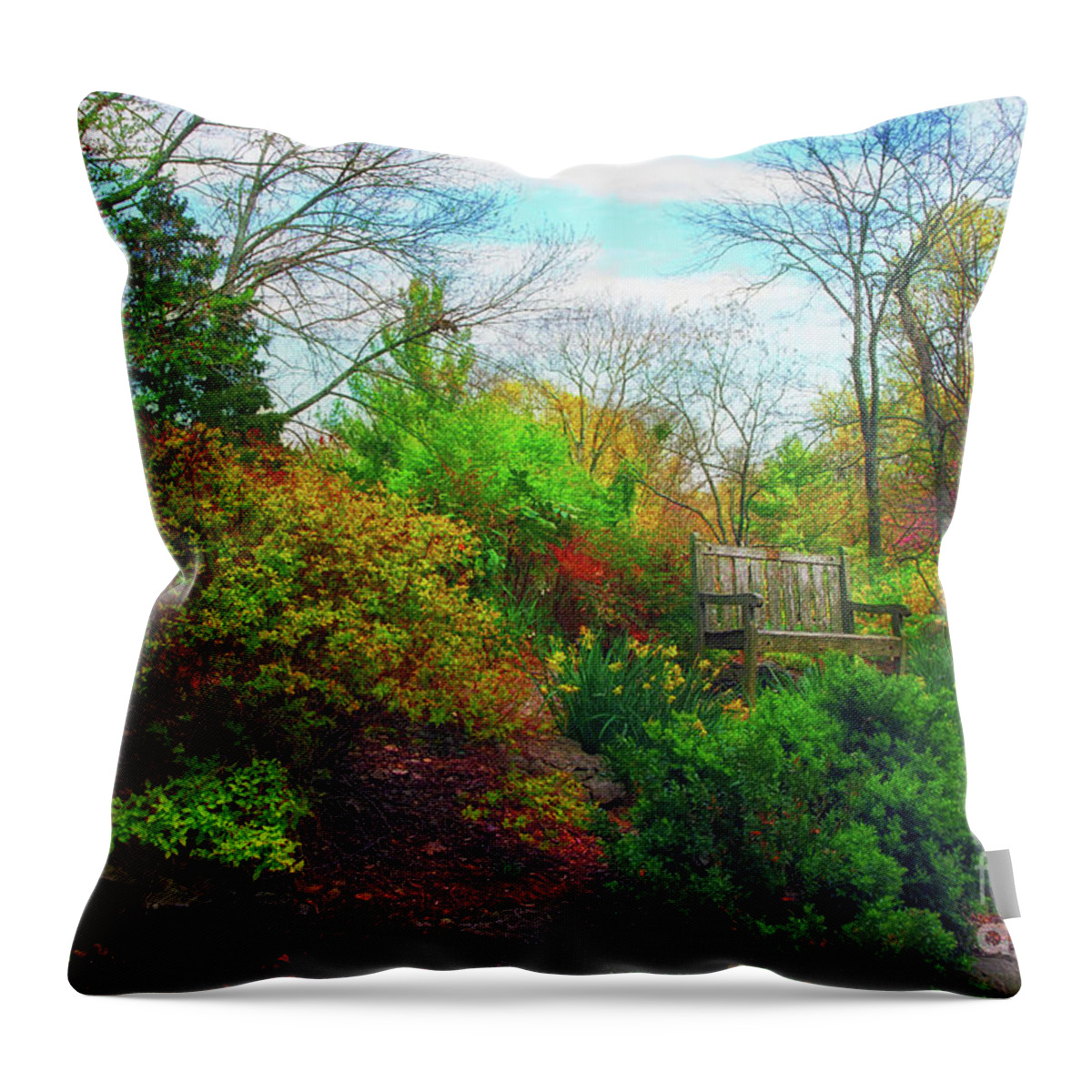Landscape Throw Pillow featuring the photograph The Bench by Geraldine DeBoer