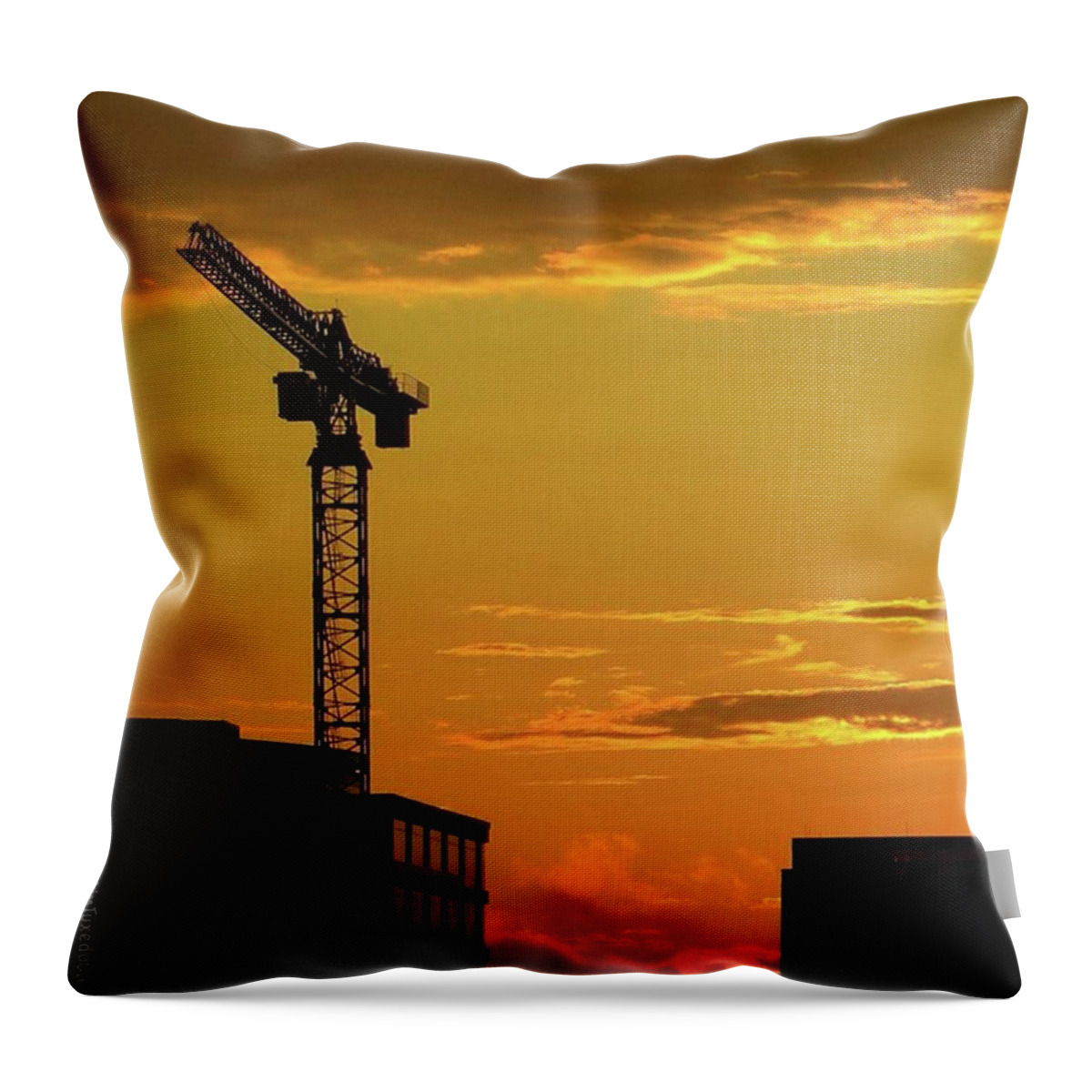 Sunrise_and_sunsets Throw Pillow featuring the photograph The Best #nofilter #sunsets Are In by Austin Tuxedo Cat