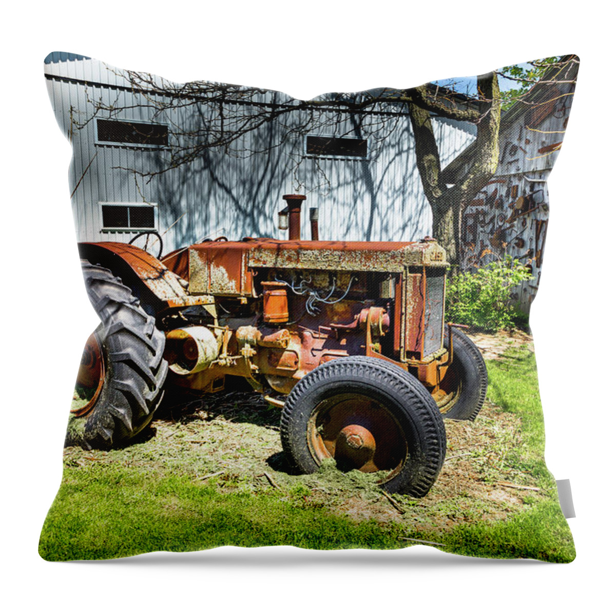 Farm Throw Pillow featuring the photograph The Big Case by Brent Buchner