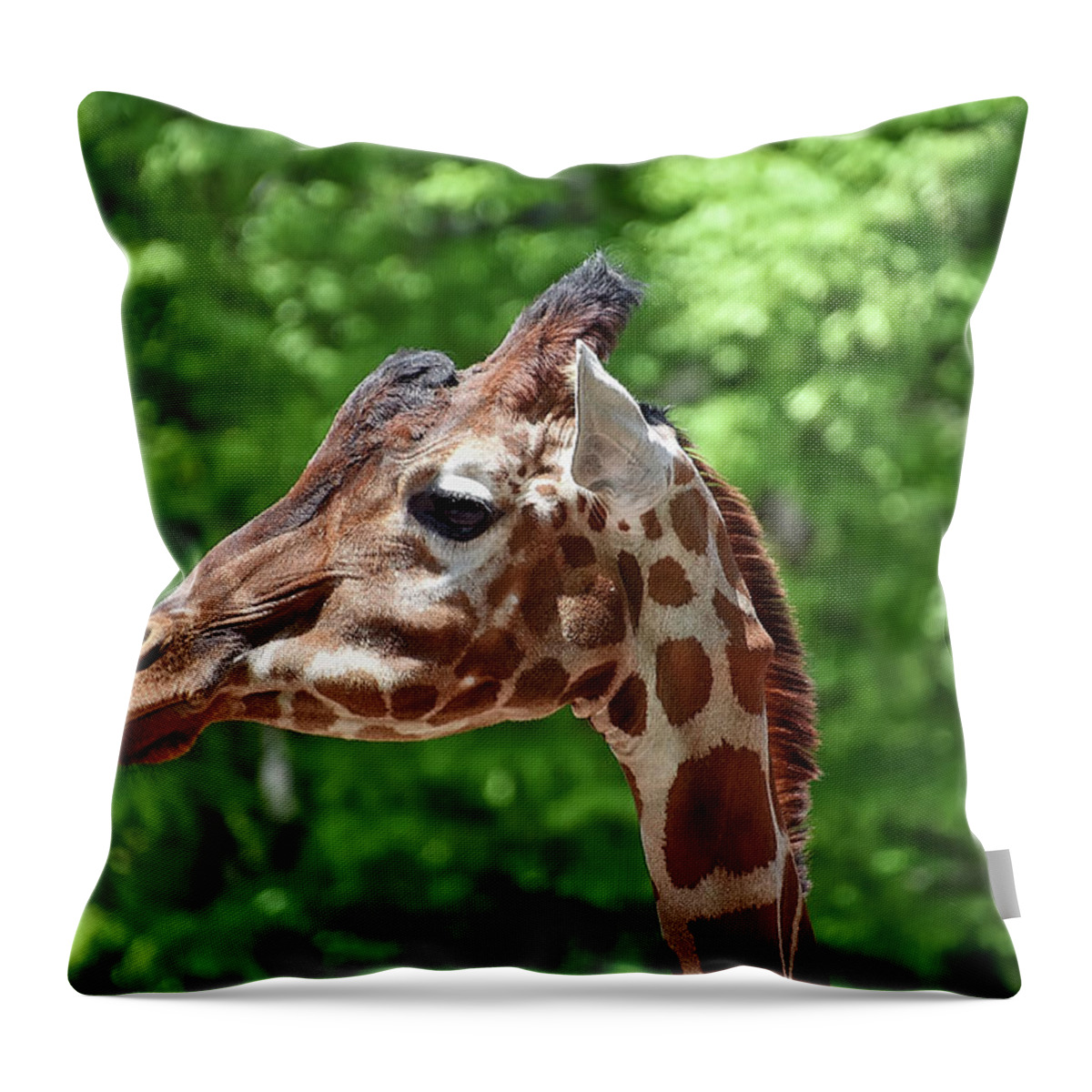 Giraffe Throw Pillow featuring the photograph The Big Guy by Kuni Photography