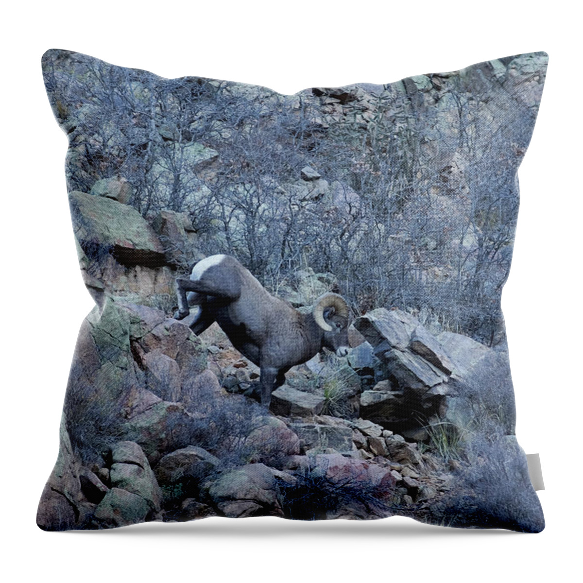 Bighorn Throw Pillow featuring the photograph The Big Horn 5 by Ernest Echols