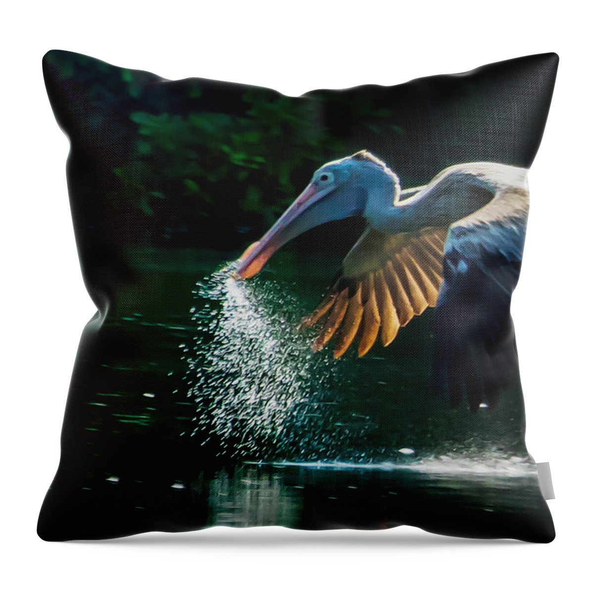 Pelican Throw Pillow featuring the photograph The Big Scoop by Ramabhadran Thirupattur