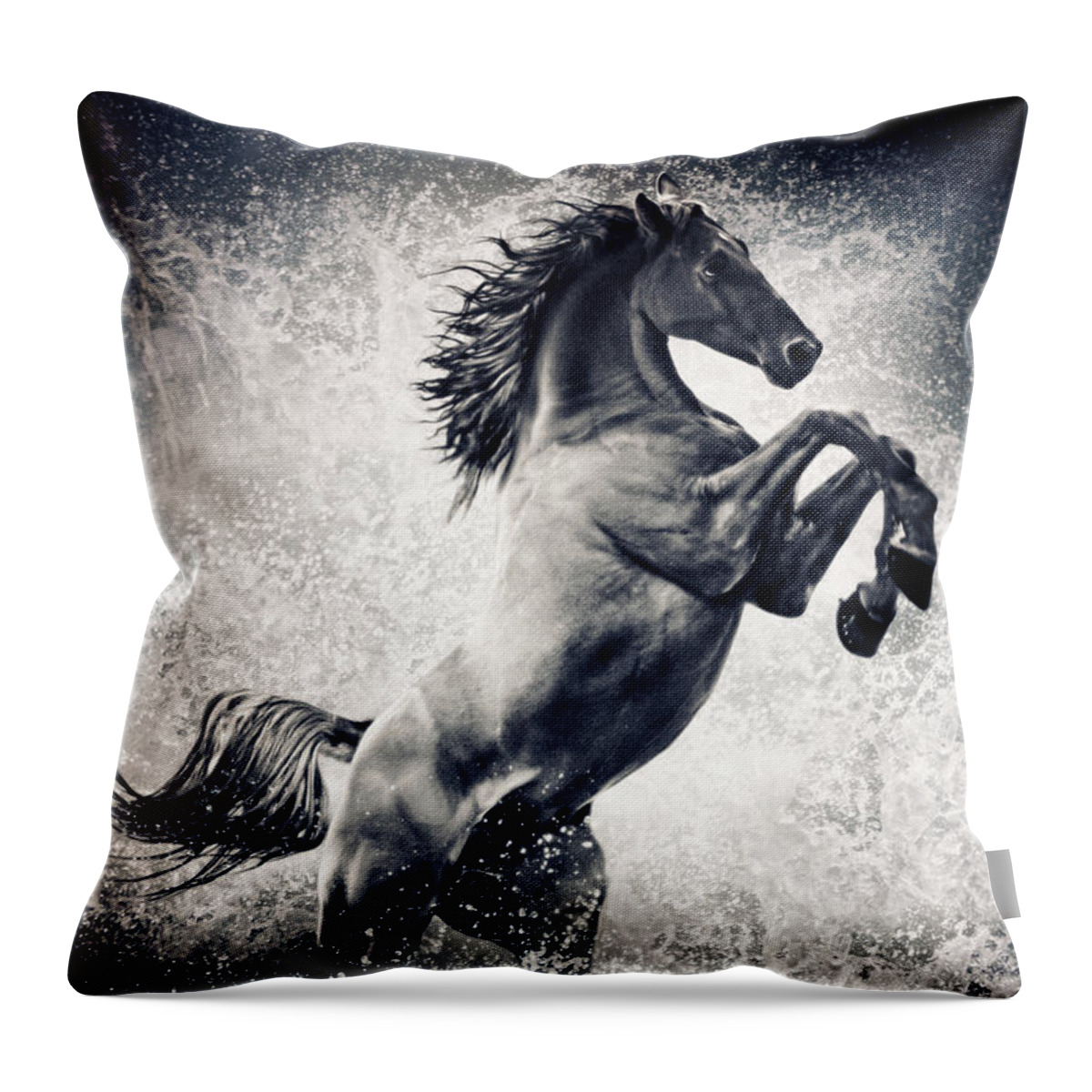 Horse Throw Pillow featuring the photograph The Black Stallion Arabian Horse Reared Up by Dimitar Hristov