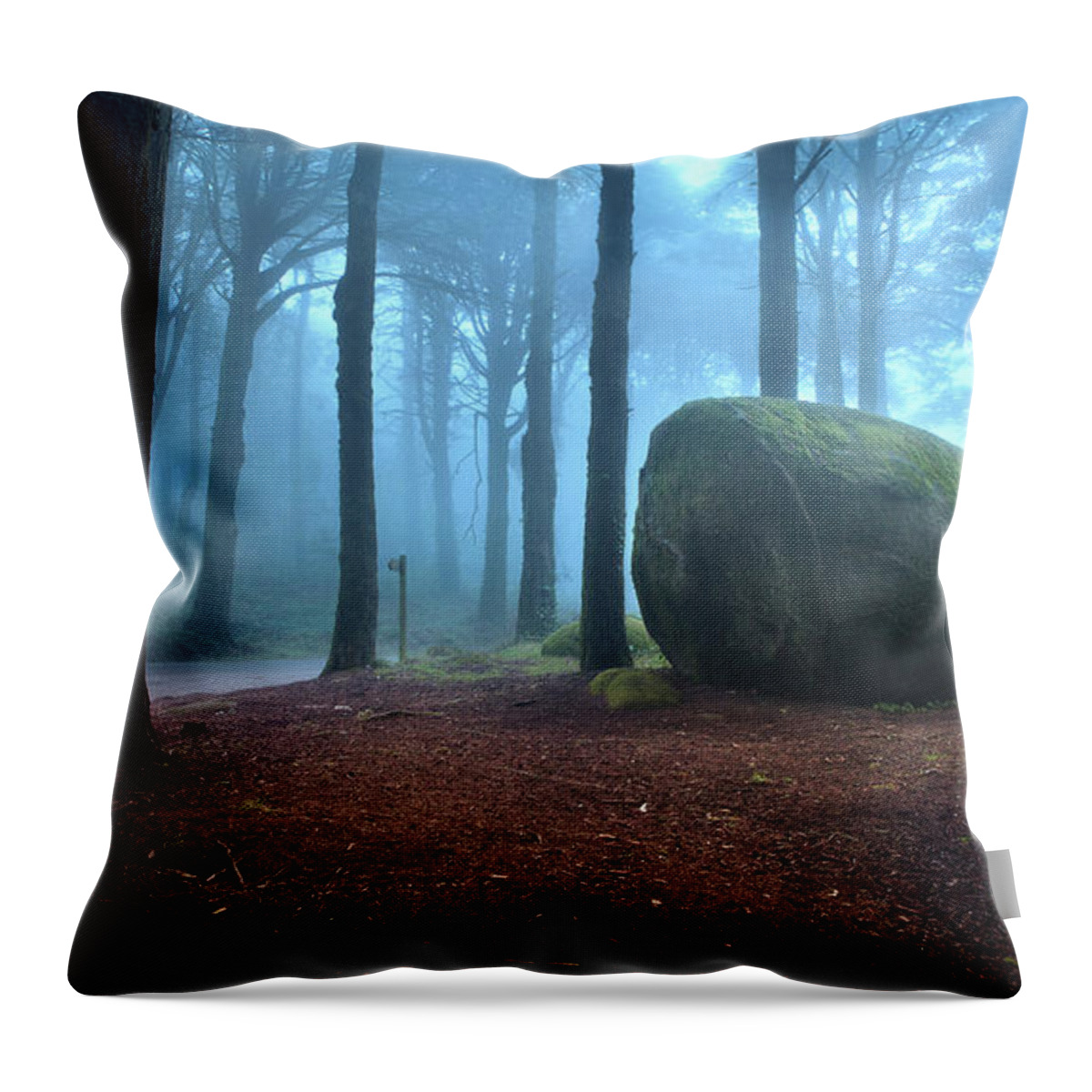 Sintra Throw Pillow featuring the photograph The blue forest by Jorge Maia