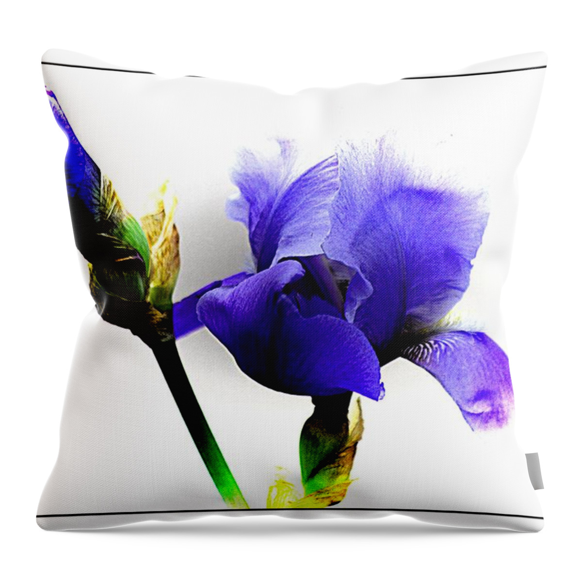 Blue Iris Throw Pillow featuring the photograph The Blue Iris by Karen McKenzie McAdoo