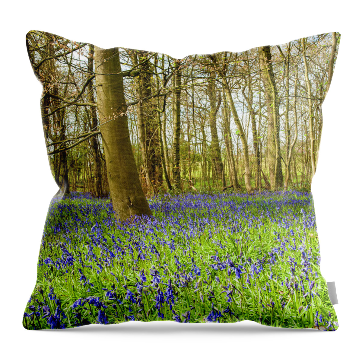 Bluebell Throw Pillow featuring the photograph The Bluebell wood in spring. by John Paul Cullen
