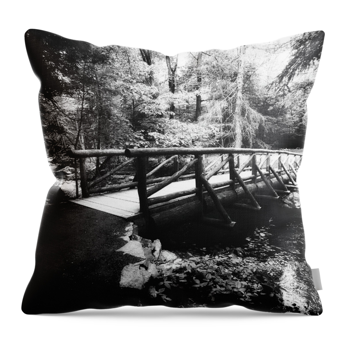 Landscape Throw Pillow featuring the photograph The Bridge Through the Woods in Black and White by Trina Ansel