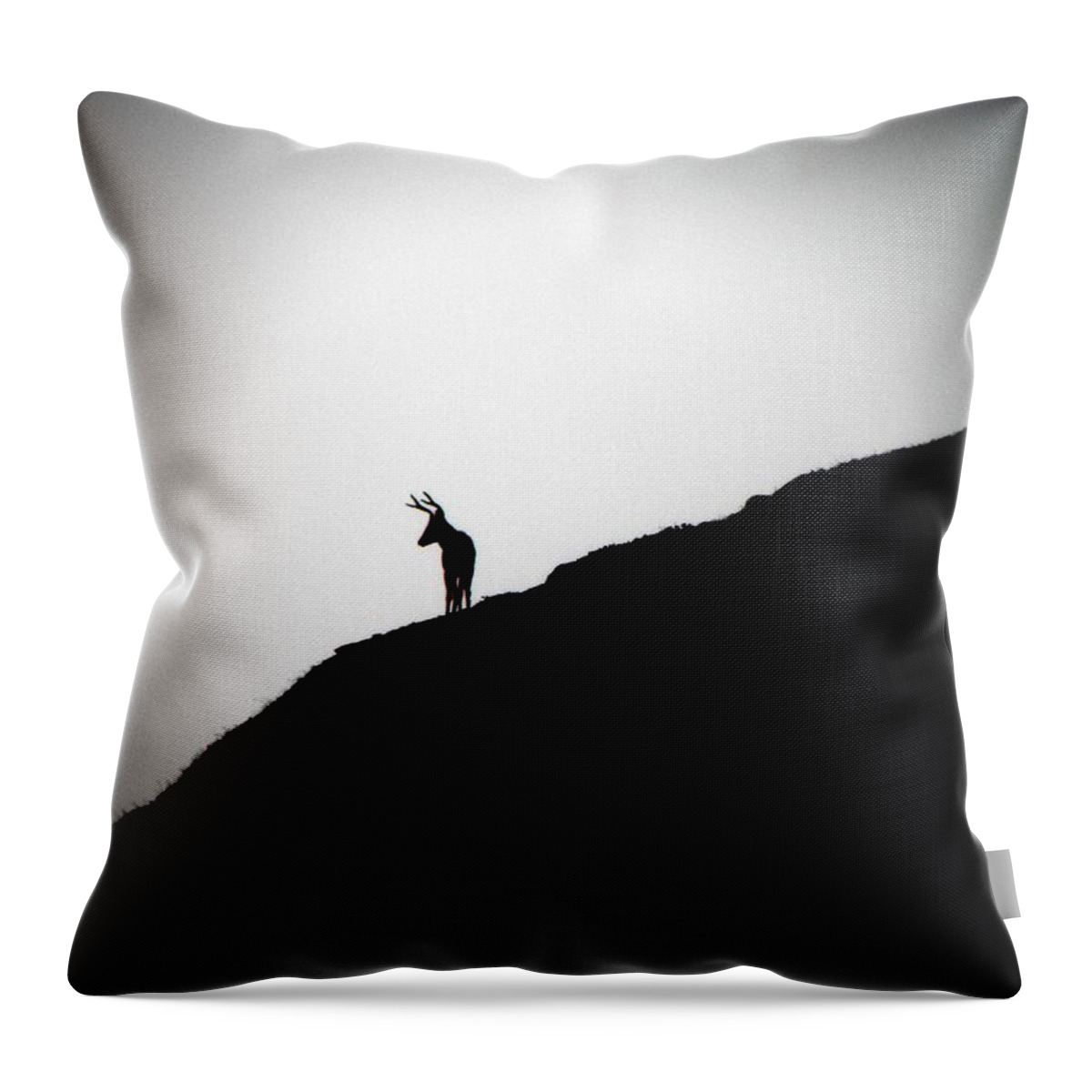 Landscape Throw Pillow featuring the photograph The Buck by Elizabeth Hoskinson