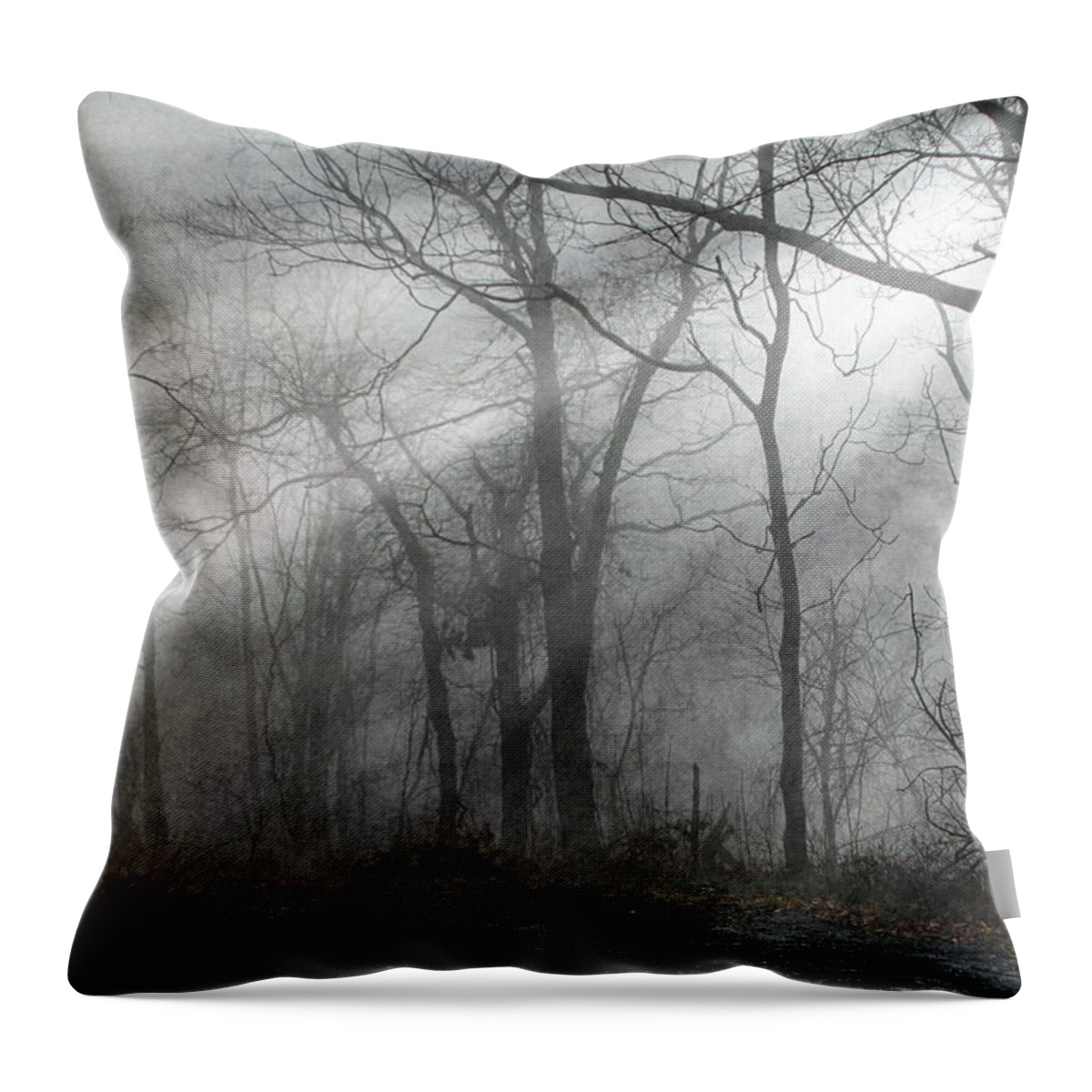 Buck Throw Pillow featuring the photograph The Buck - Hiking Surprise by Andrea Kollo