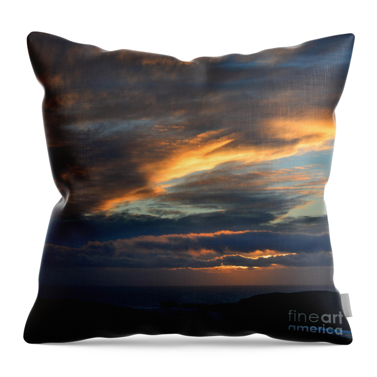 Photography By Paul Davenport Throw Pillow featuring the photograph The Calf at Sunset by Paul Davenport