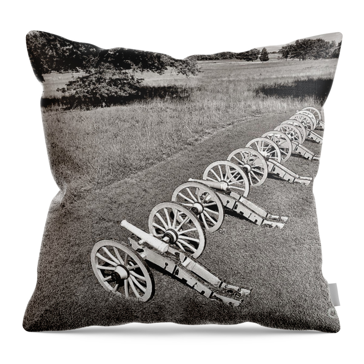 Valley Throw Pillow featuring the photograph The Cannons of Valley Forge by Olivier Le Queinec