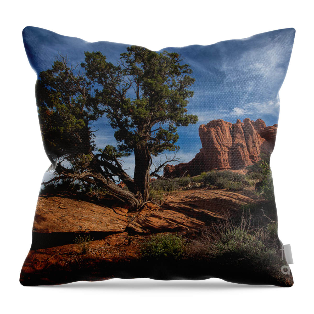 Utah Throw Pillow featuring the photograph The Canyon Trail by Jim Garrison