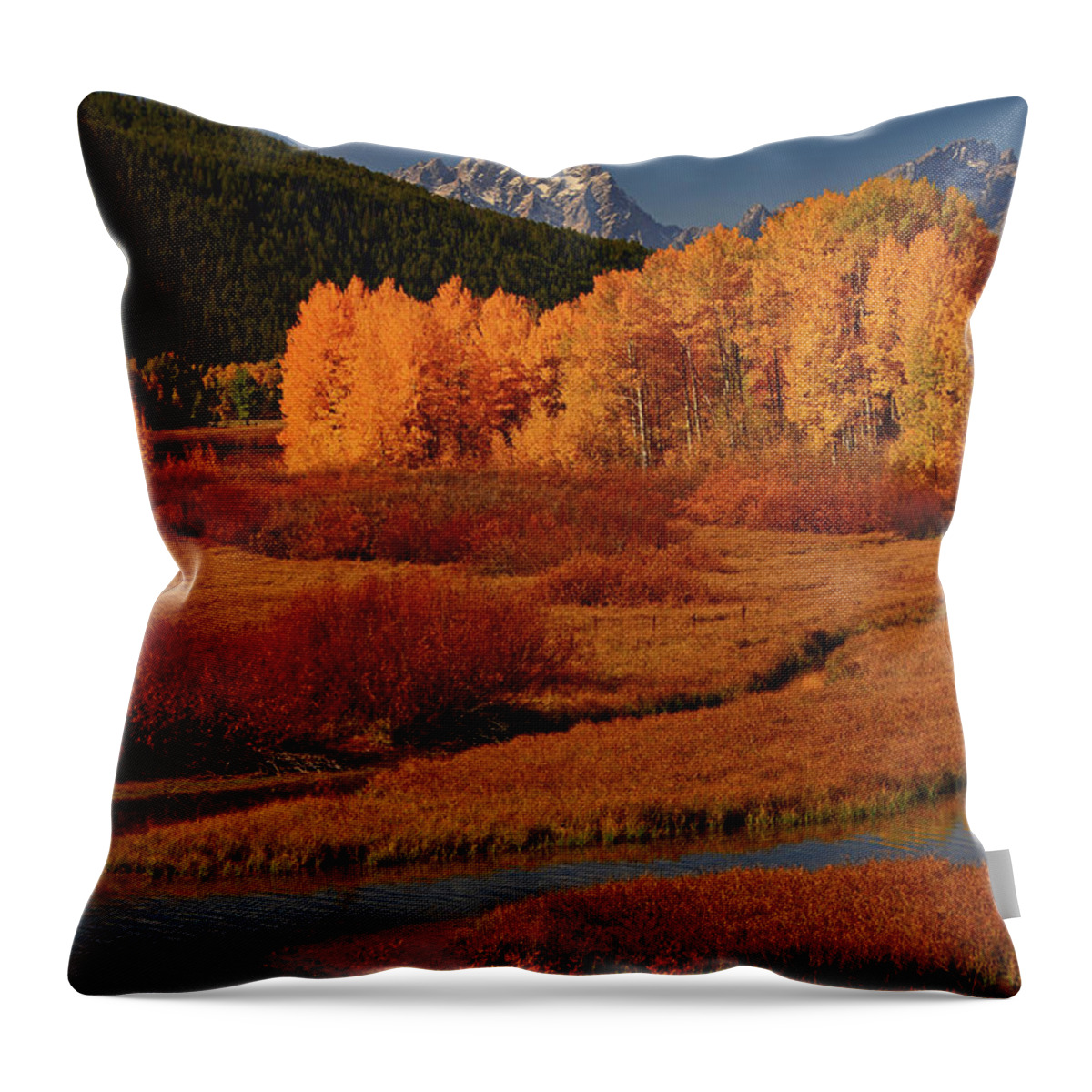 The Cathedral Group From North Of Oxbow Bend Throw Pillow featuring the photograph The Cathedral Group from North of Oxbow Bend by Raymond Salani III