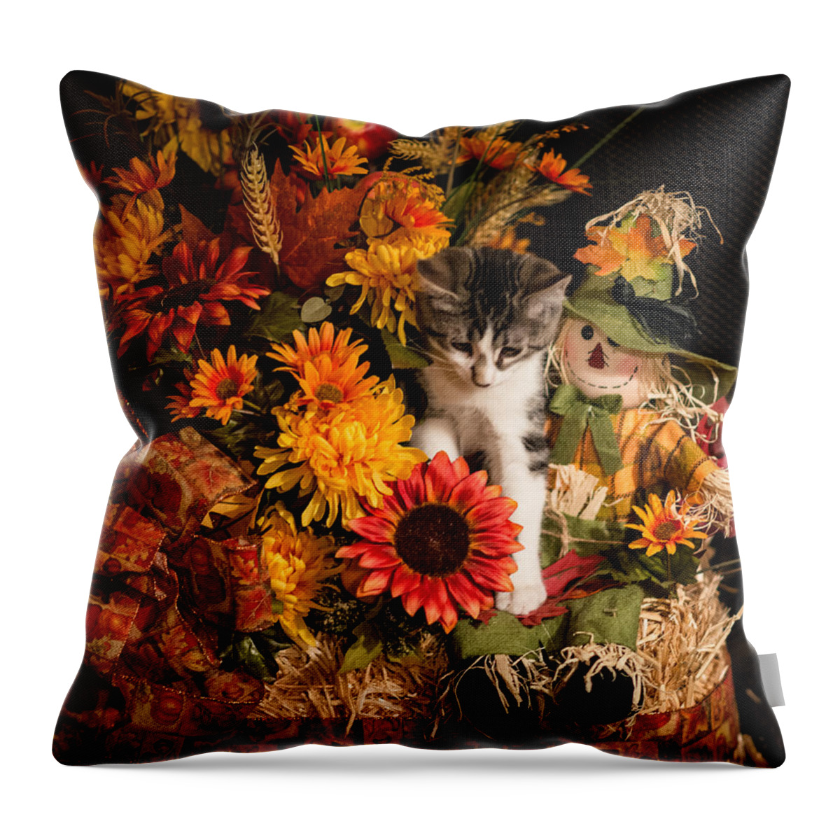 Kitten Throw Pillow featuring the photograph The Centerpiece by Pamela Taylor