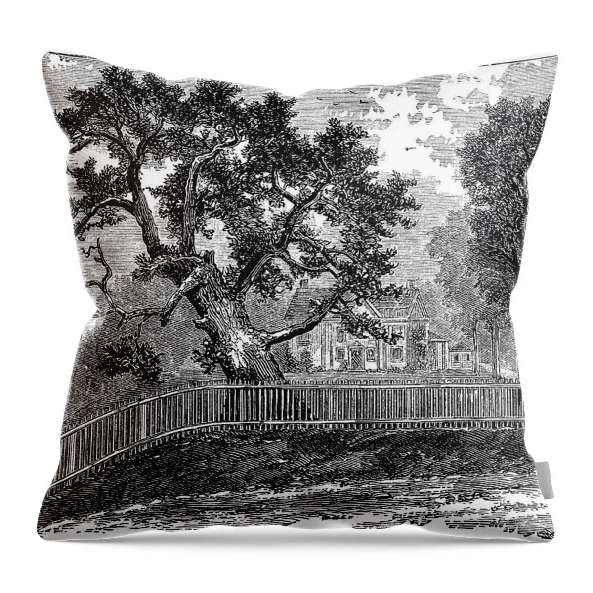Hartford Throw Pillow featuring the photograph The Charter Oak from a painting by Isaac W. Stuart by Phil Cardamone