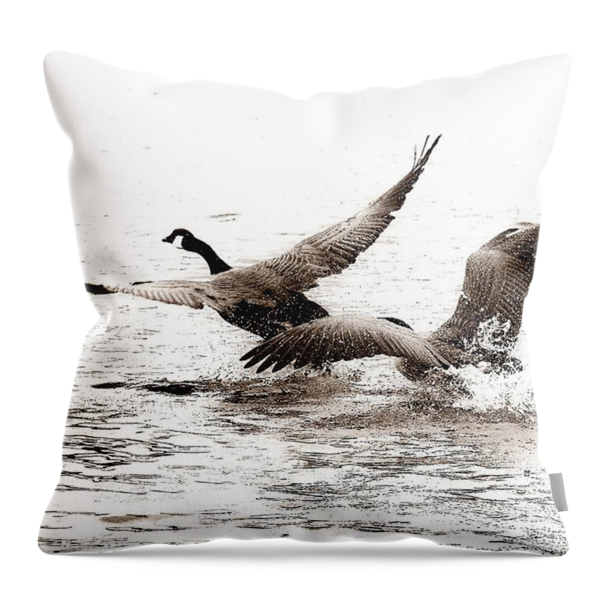 Birds Throw Pillow featuring the photograph The Chase by Angie Tirado