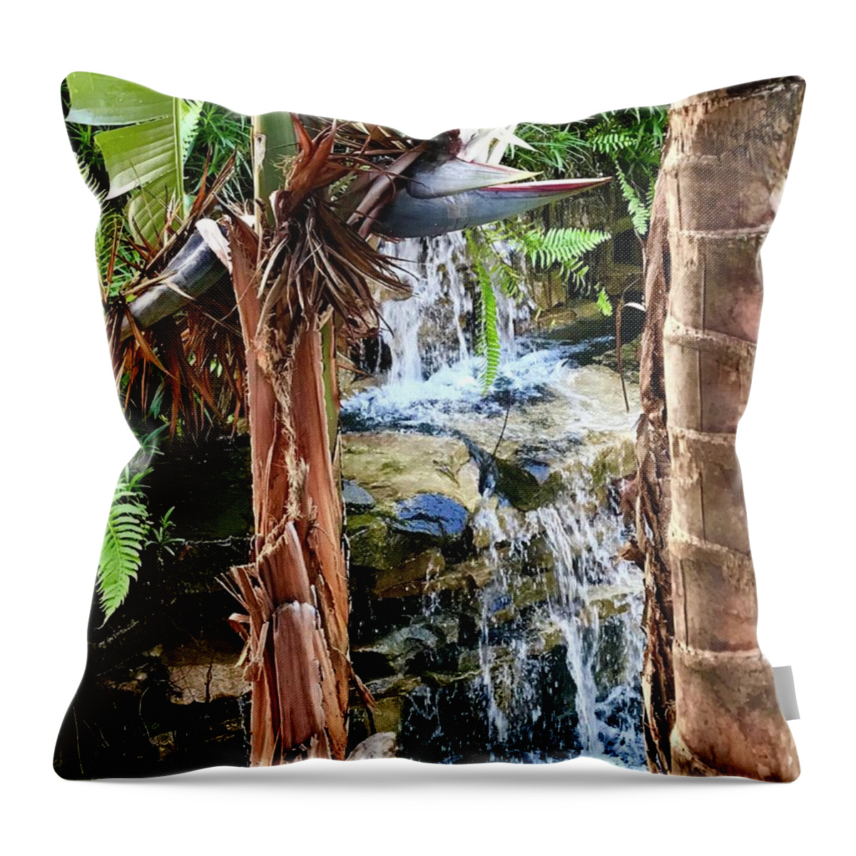 Landscape; Waterfall; Tropical; Water Is Life; Water; Spiritual; Meditation; Nature; Jungle; Earth; Plants; Trees; Mother Nature; Stream; River; Native American; Kicking Bear Barry; Protecting Wild Things; Life On Earth Throw Pillow featuring the photograph The Choice for Life by Kicking Bear Productions