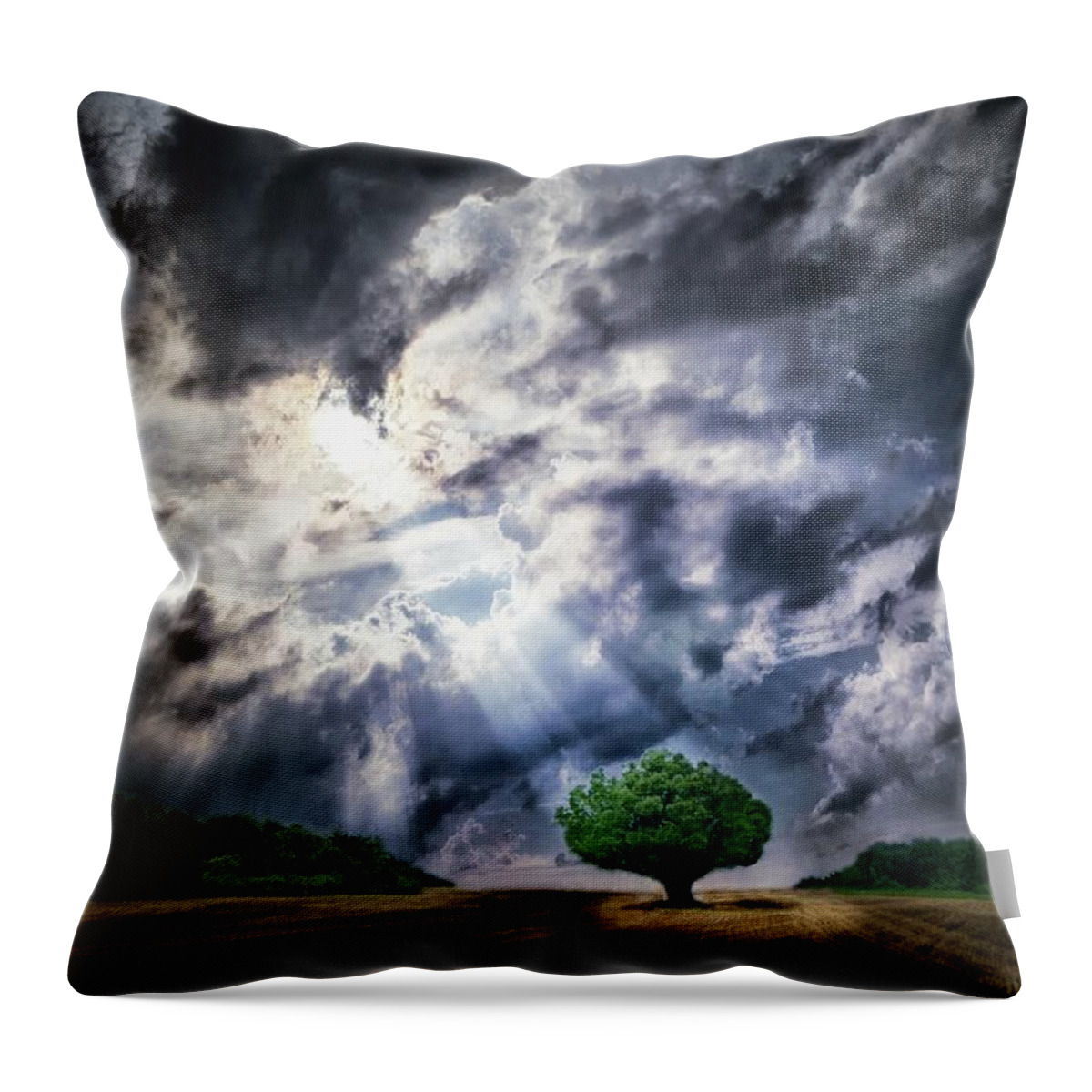 Tree Throw Pillow featuring the photograph The Chosen by Mark Fuller