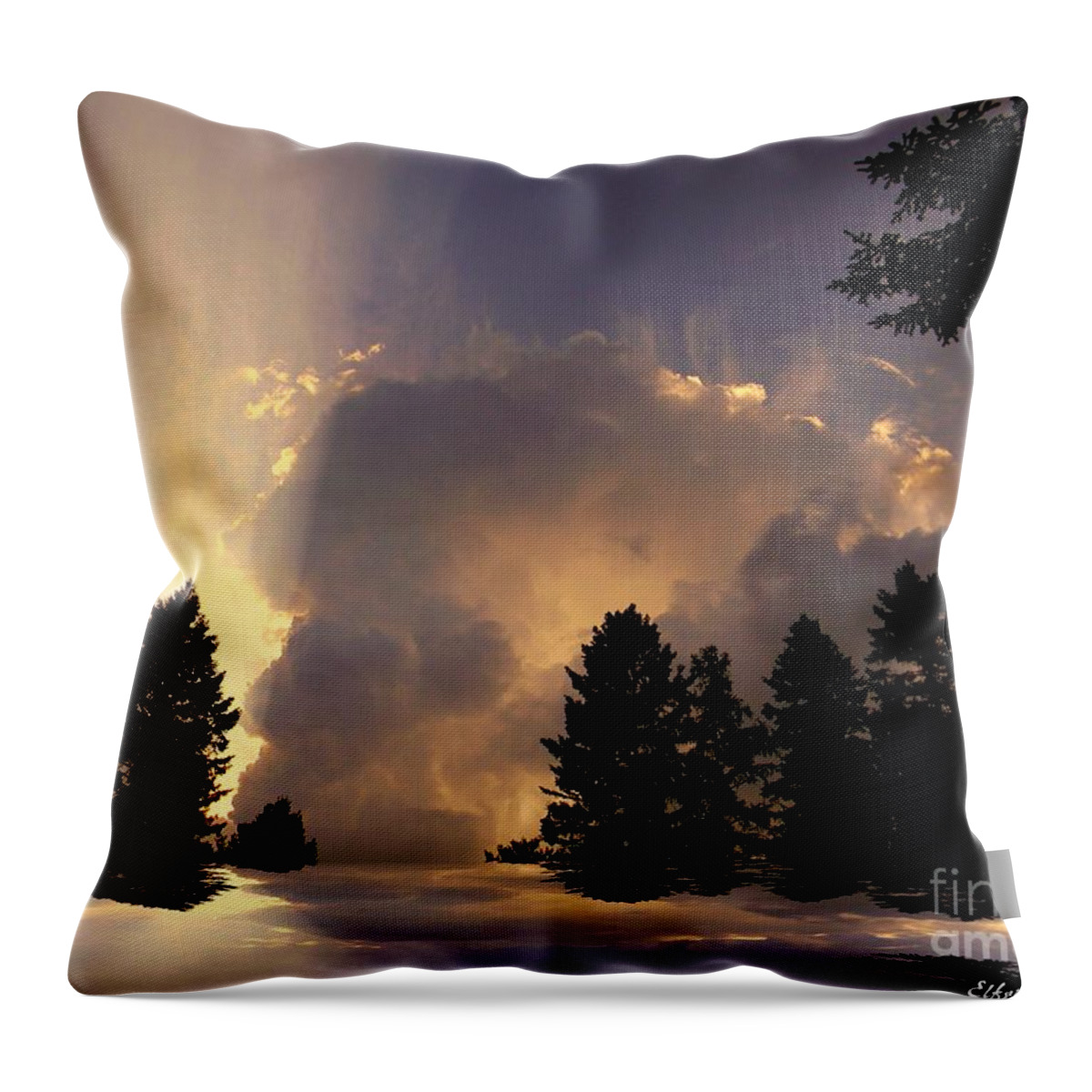 Clouds Throw Pillow featuring the photograph The Cloud by Elfriede Fulda