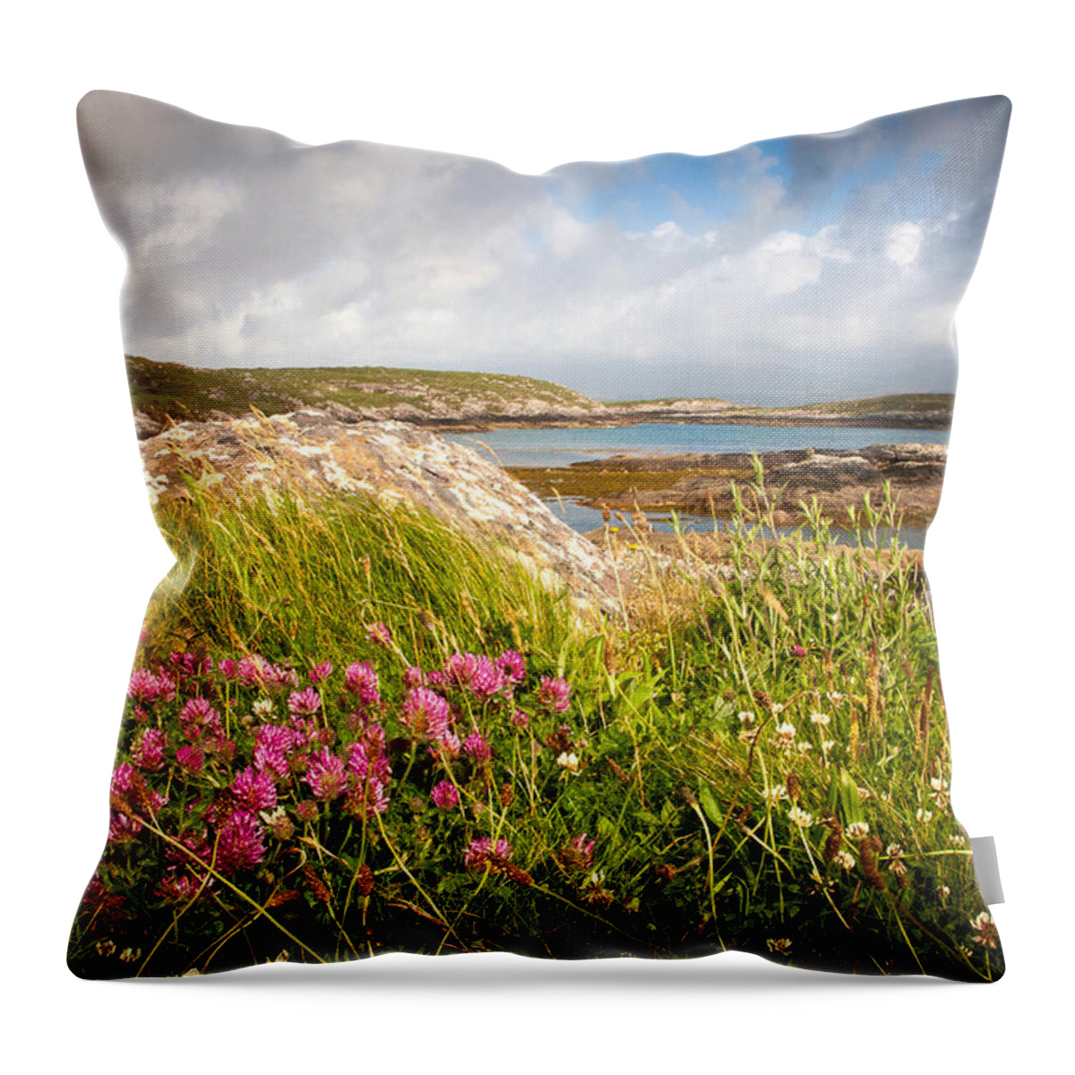 Clover Throw Pillow featuring the photograph The Clover of White Strand by Mark Callanan
