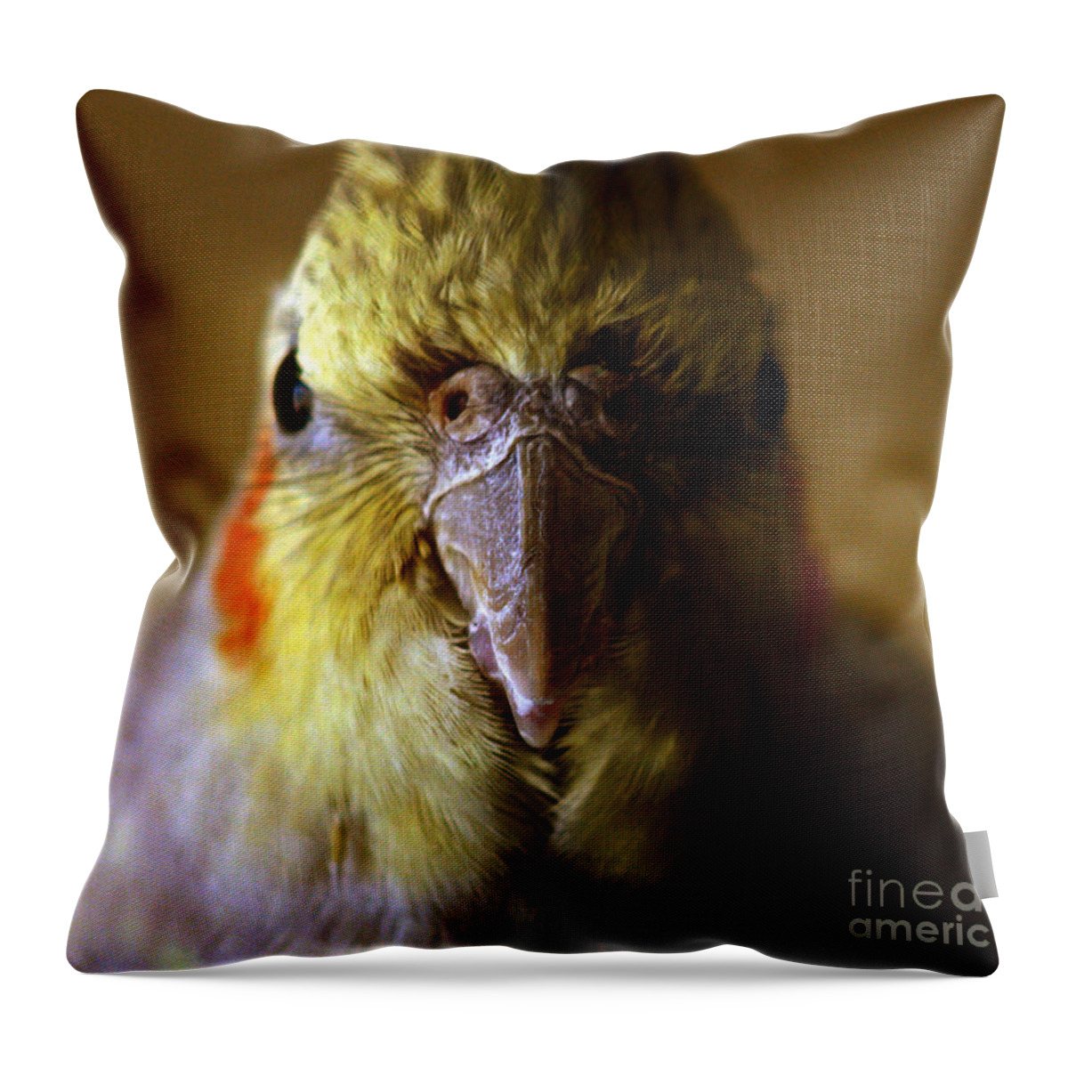 Cockatiel Throw Pillow featuring the photograph The Cockatiel by Ang El