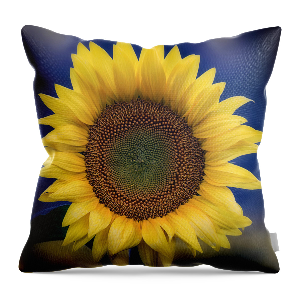 Sunflower Throw Pillow featuring the photograph The Color of Summer by Robert Fawcett