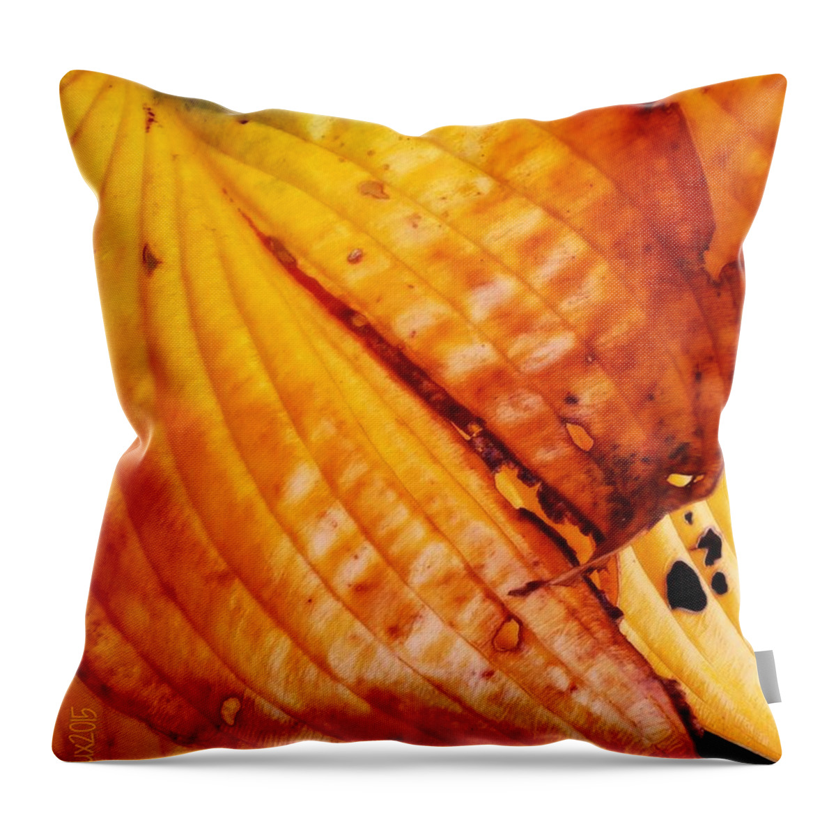 Autumn Throw Pillow featuring the photograph The Colors of Autumn by Mimulux Patricia No