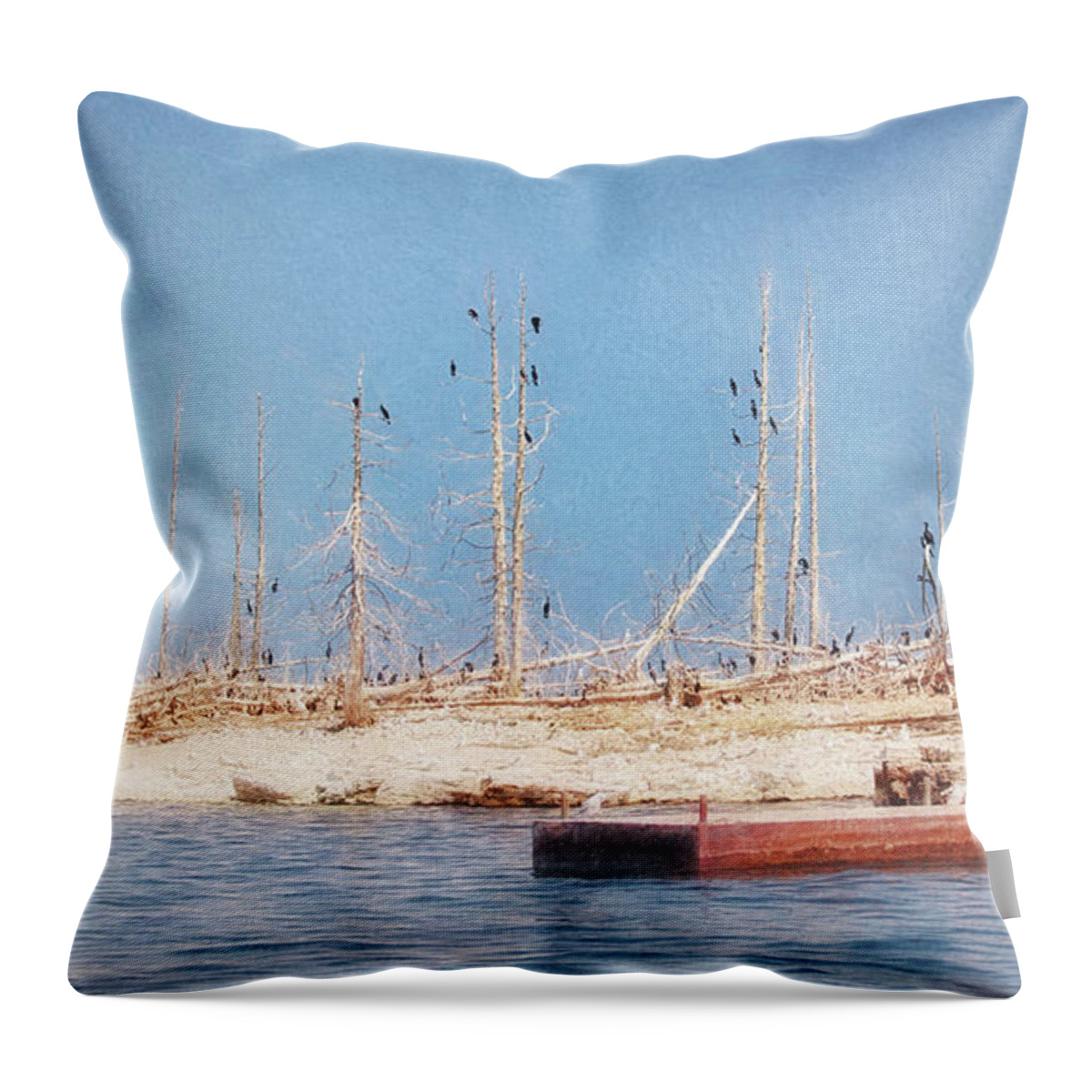 Cormorants Throw Pillow featuring the photograph The Cormorants at Deaths Door by Susan Rissi Tregoning