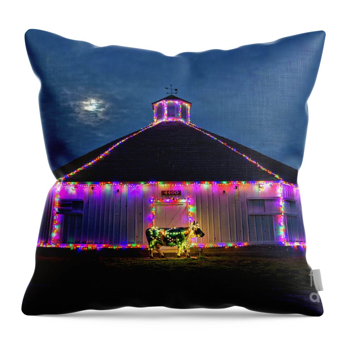 Christmas Throw Pillow featuring the photograph The Cow Is Out Of The Christmas Barn by Mimi Ditchie