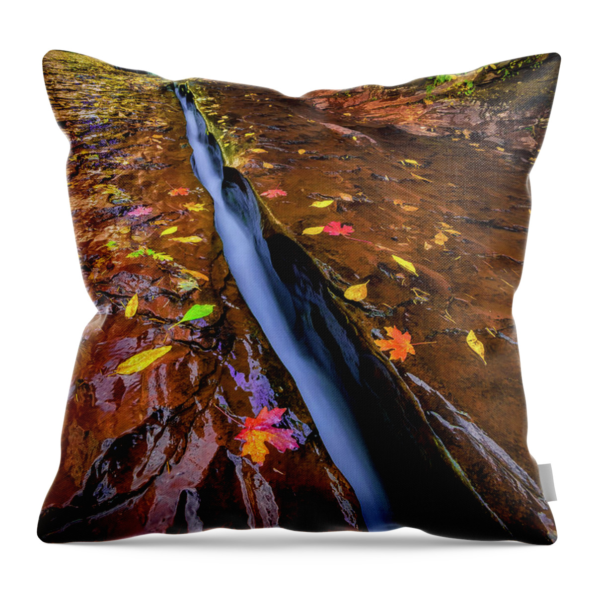 Zion National Park Throw Pillow featuring the photograph The Crack by Dave Koch