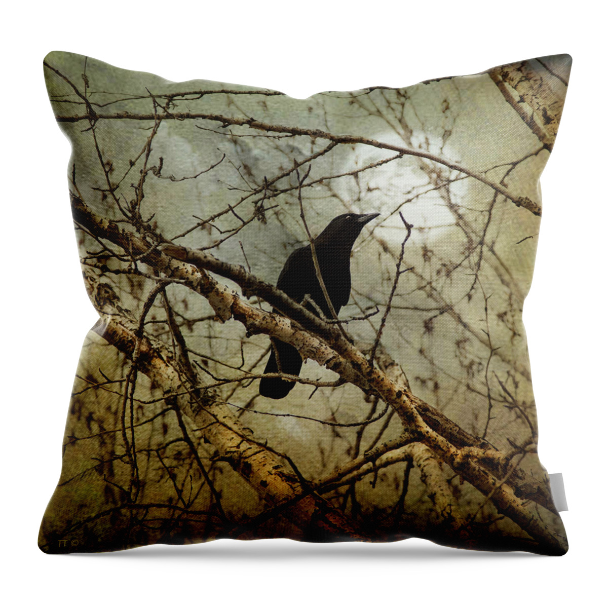 Theresa Tahara Throw Pillow featuring the photograph The Crow And The Moon by Theresa Tahara