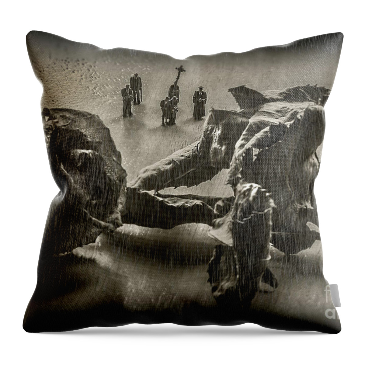Rosebud Throw Pillow featuring the photograph The Curious Case Of Rosebud by Sandra Cockayne ADPS