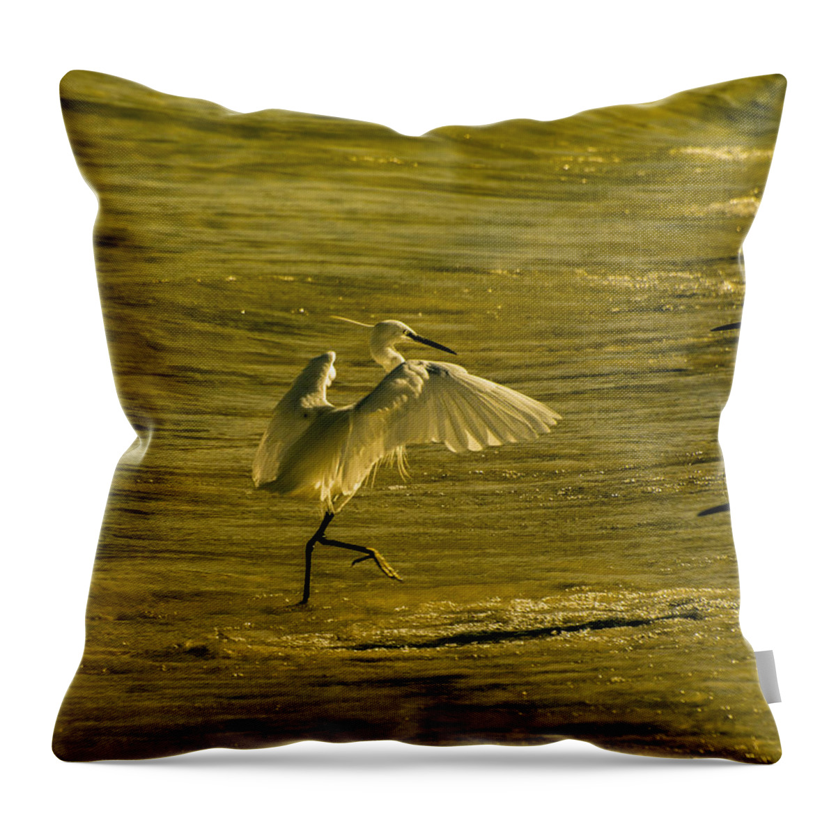 Bukoba Throw Pillow featuring the photograph The dance by Patrick Kain