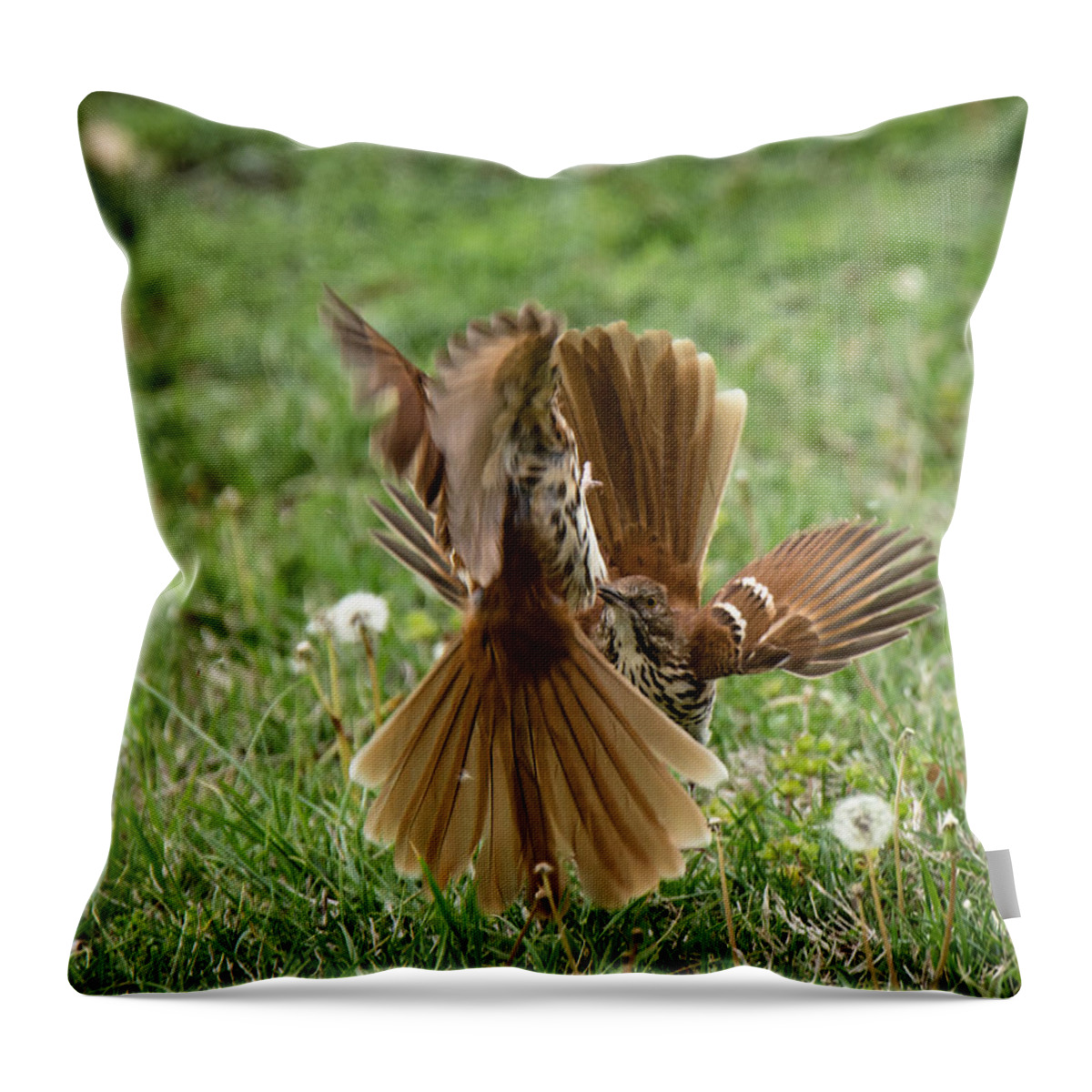 Dance Throw Pillow featuring the photograph The Dandelion Dance by Steve Marler