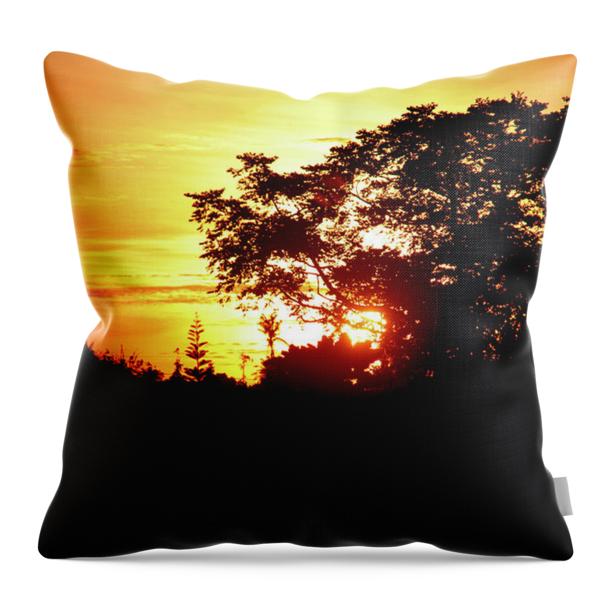 Philippines Throw Pillow featuring the photograph The Day Bids Farewell by Jez C Self