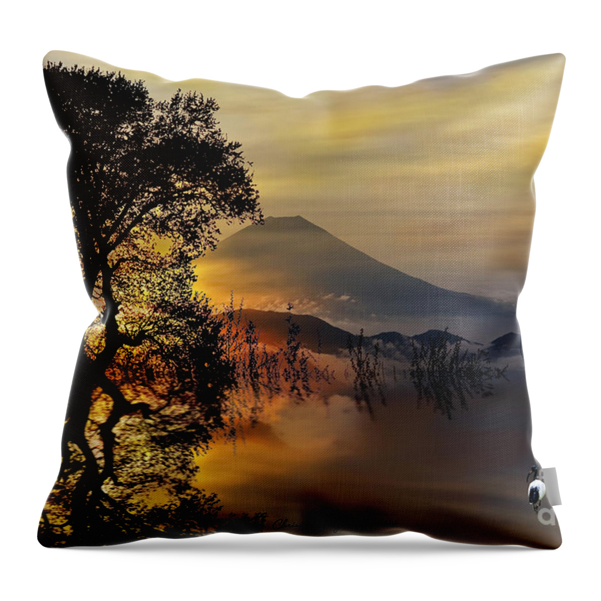 Landscape Throw Pillow featuring the digital art The Days Blank Slate by Chris Armytage