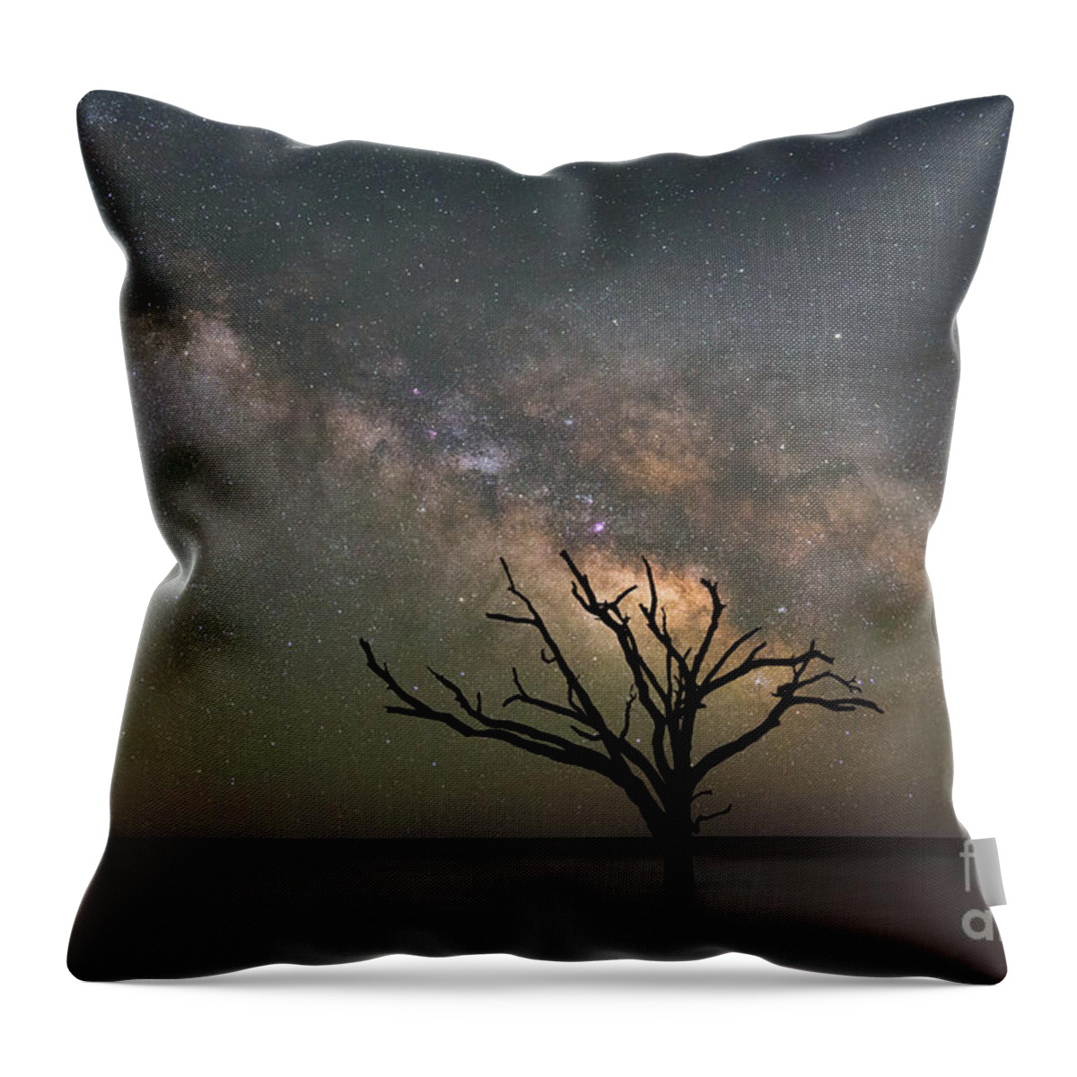 Botany Bay Milky Way Throw Pillow featuring the photograph The Dead Forest Milky Way 2x3 Ratio by Michael Ver Sprill