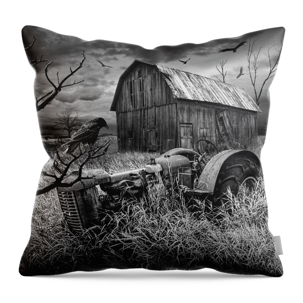 Art Throw Pillow featuring the photograph The Decline and Death of the Small Farm in Black and White by Randall Nyhof