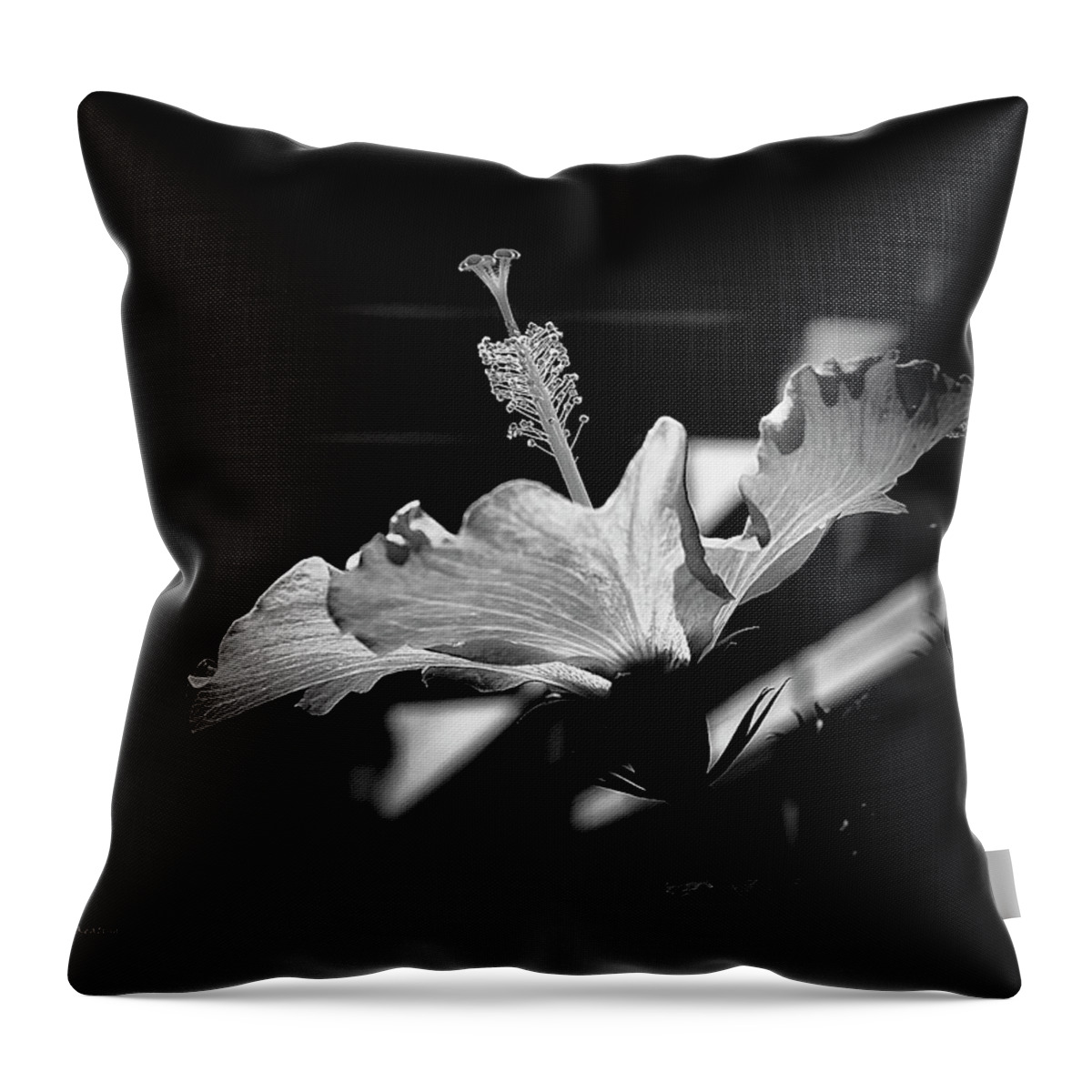 Floral Throw Pillow featuring the photograph The Delicate Hibiscus Flower by Gerlinde Keating