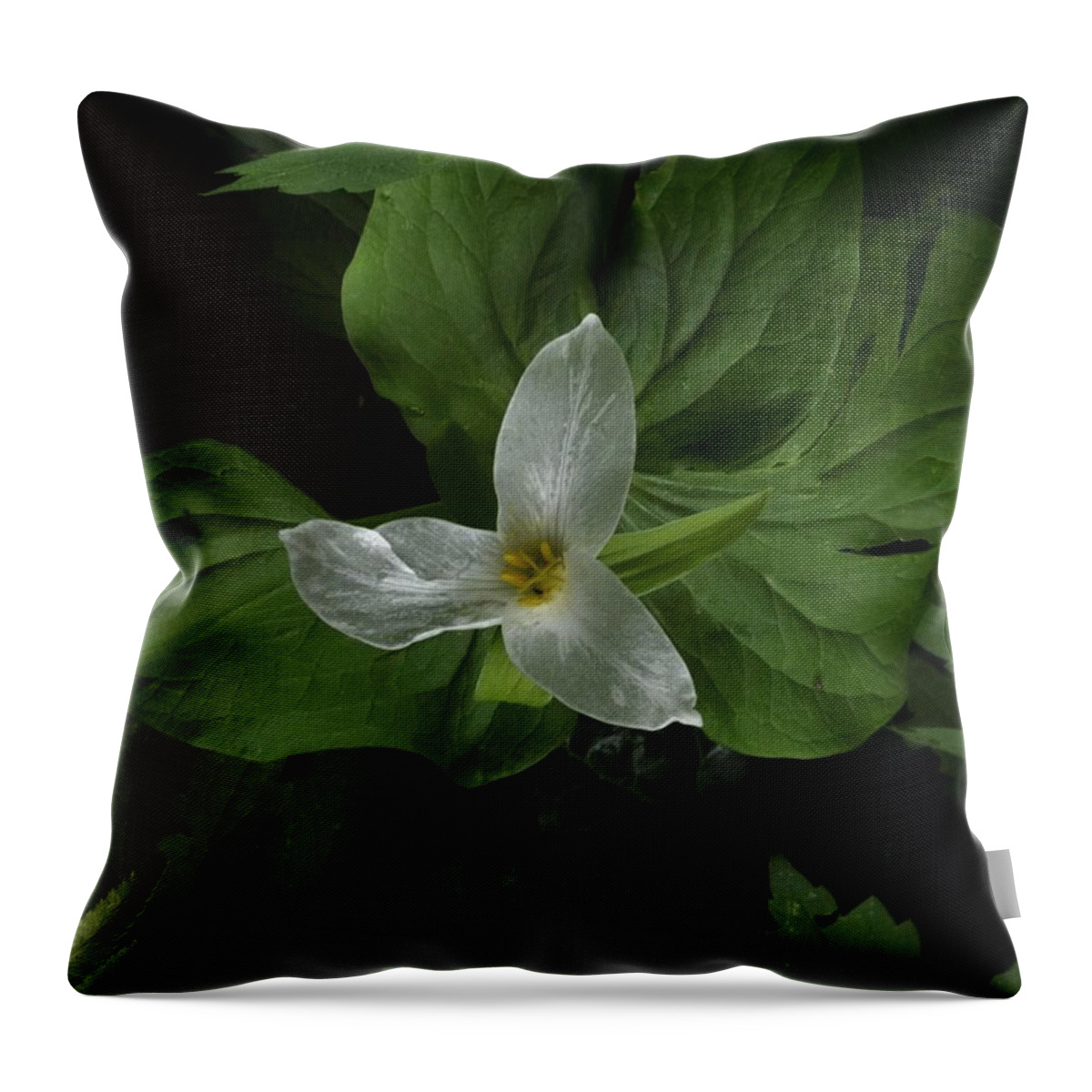 Flowers Throw Pillow featuring the photograph The Delicate Trillium by Charles Lucas