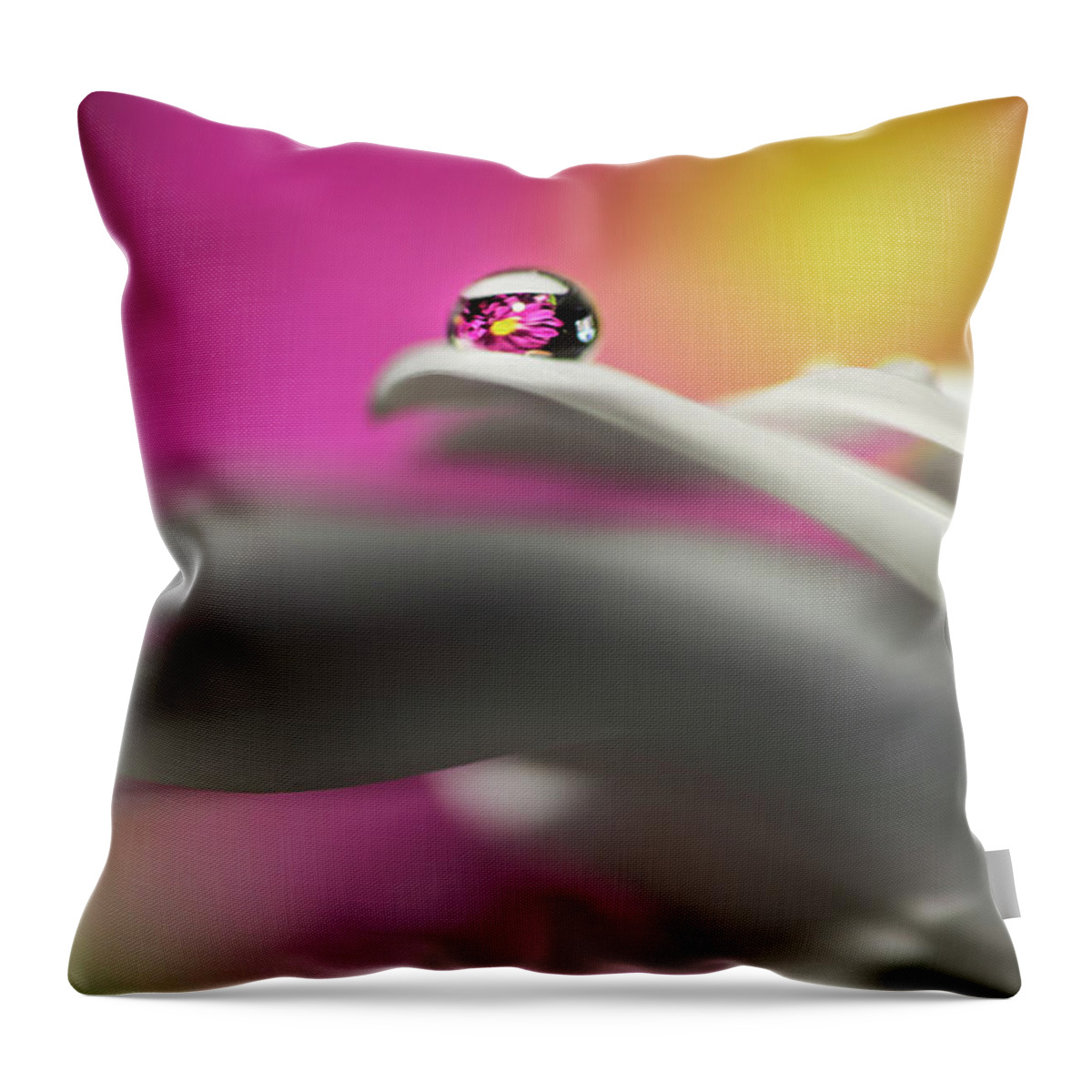 Dewdrop Throw Pillow featuring the photograph The dew drop by John Randazzo