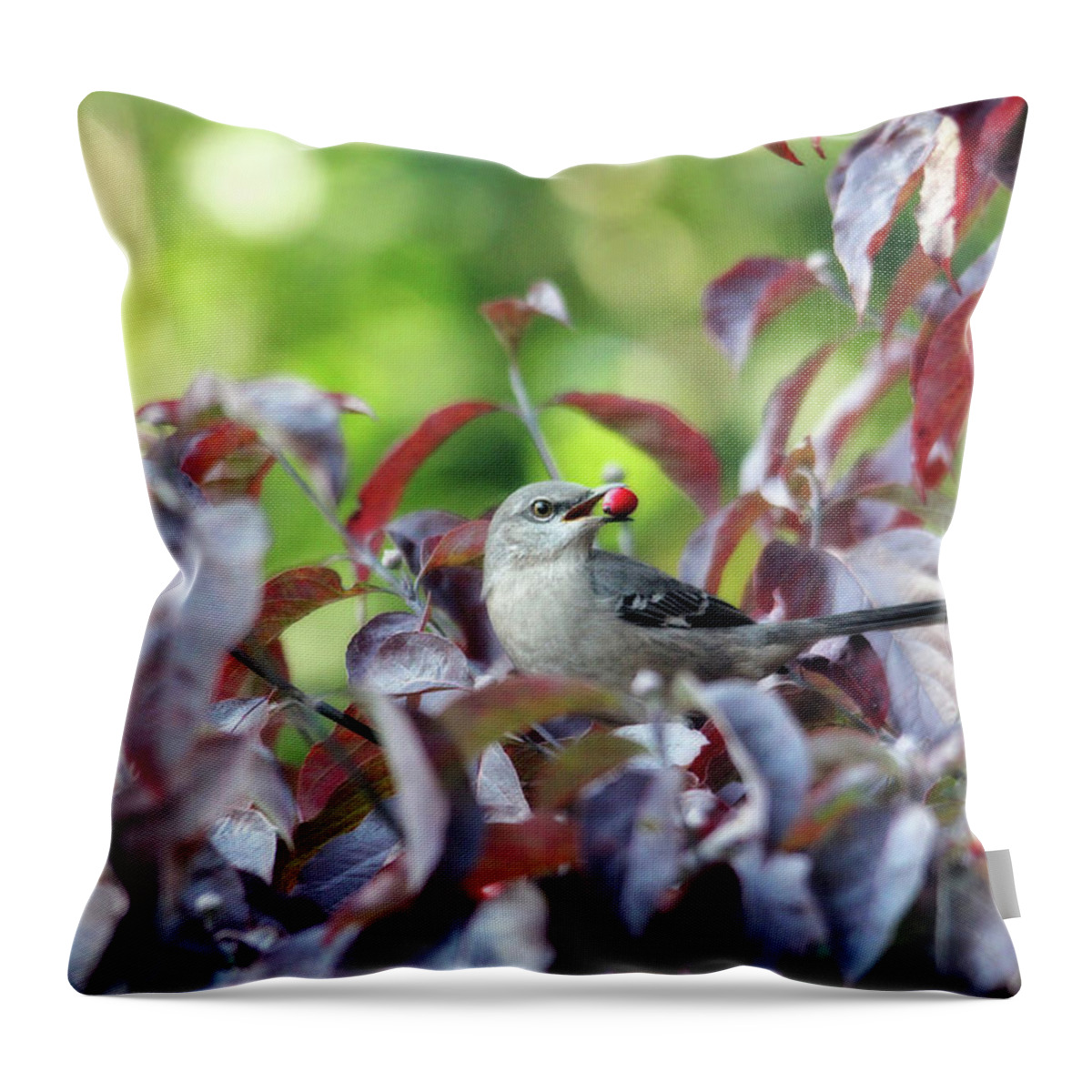 Nature Throw Pillow featuring the photograph The Dogwood Diner by Trina Ansel