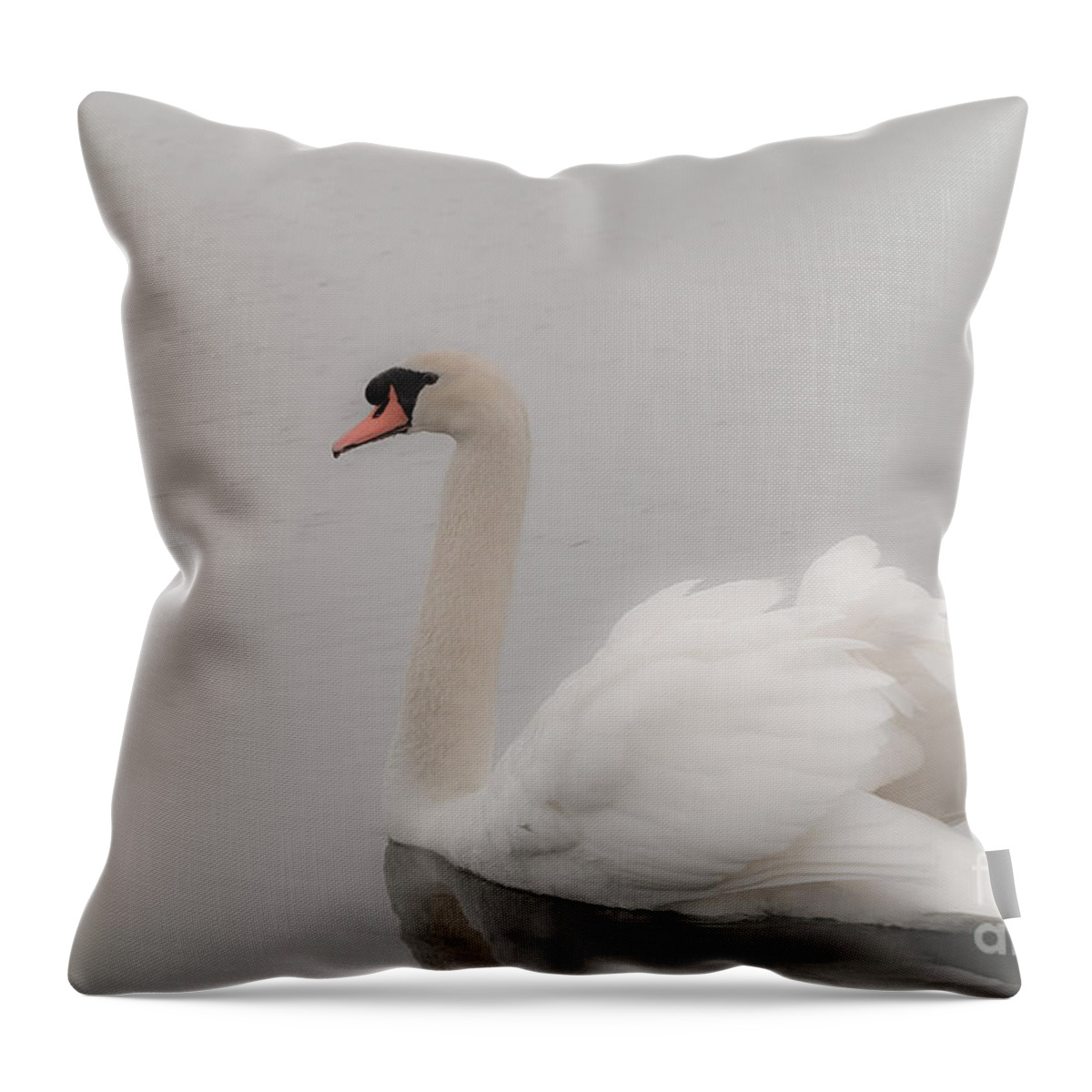 Dream Throw Pillow featuring the photograph The Dream by Charles Dobbs