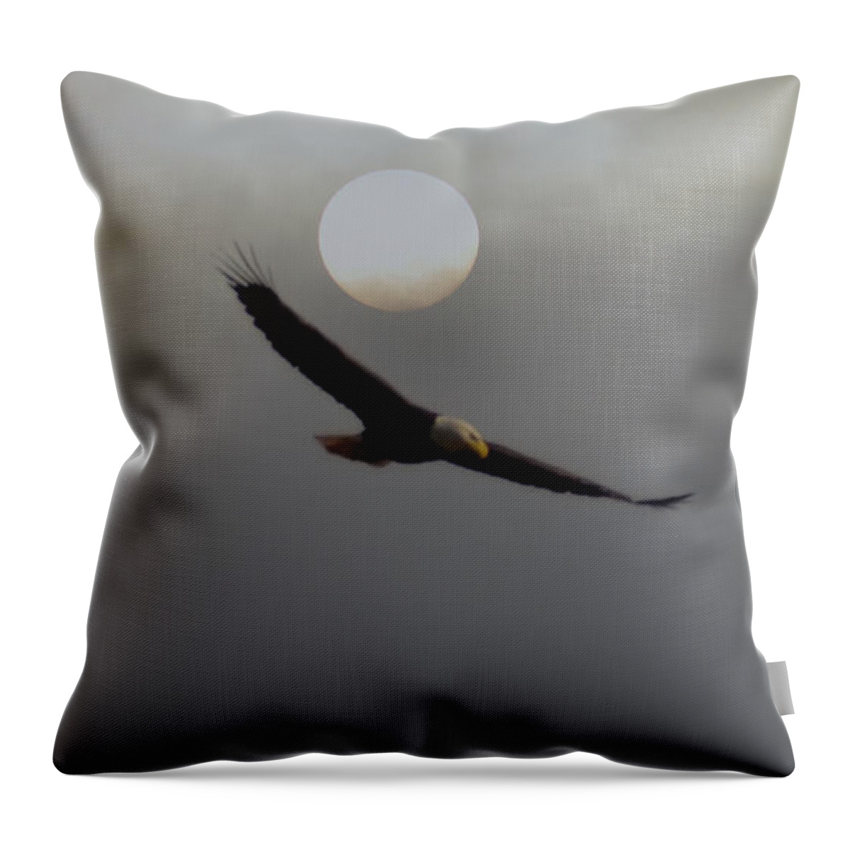 The Eagle Flies At Dawn Throw Pillow featuring the photograph The Eagle Flies at Dawn by Bill Cannon