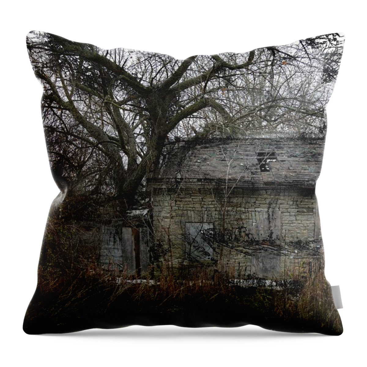 Abandoned Throw Pillow featuring the photograph The Earth Reclaims by Jim Vance