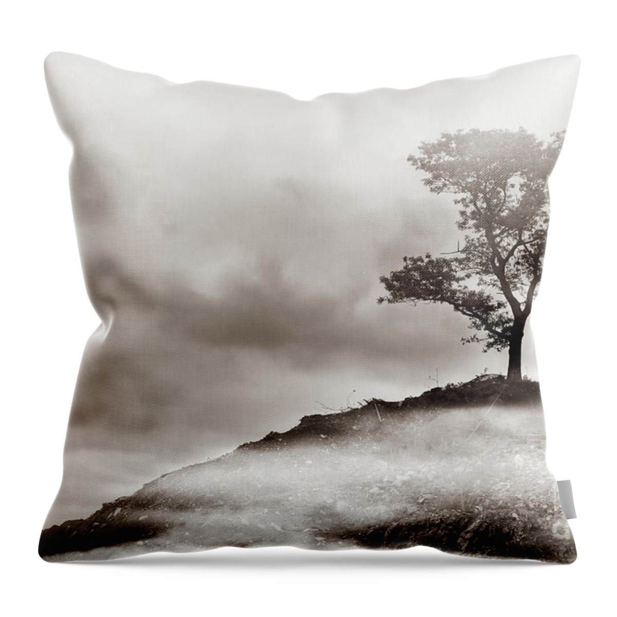 Tree Throw Pillow featuring the photograph The Edge of Never by Dana DiPasquale