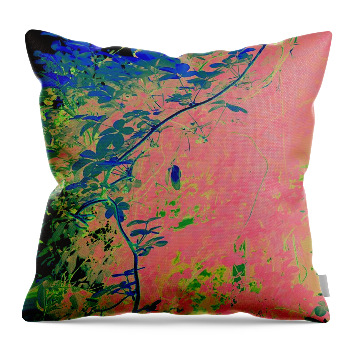 Photography Throw Pillow featuring the photograph The Edge of Night by Nancy Kane Chapman